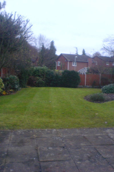 lawn